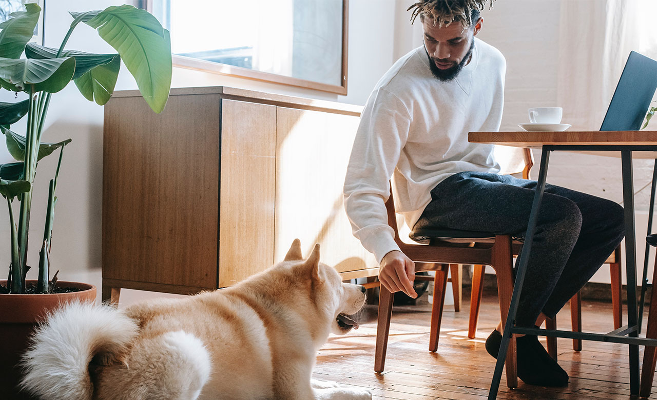 Dealing with workload and reducing stress still seems to be a true art for many people. For you too? In this blog, we give you a few tips for dealing with stress at work.