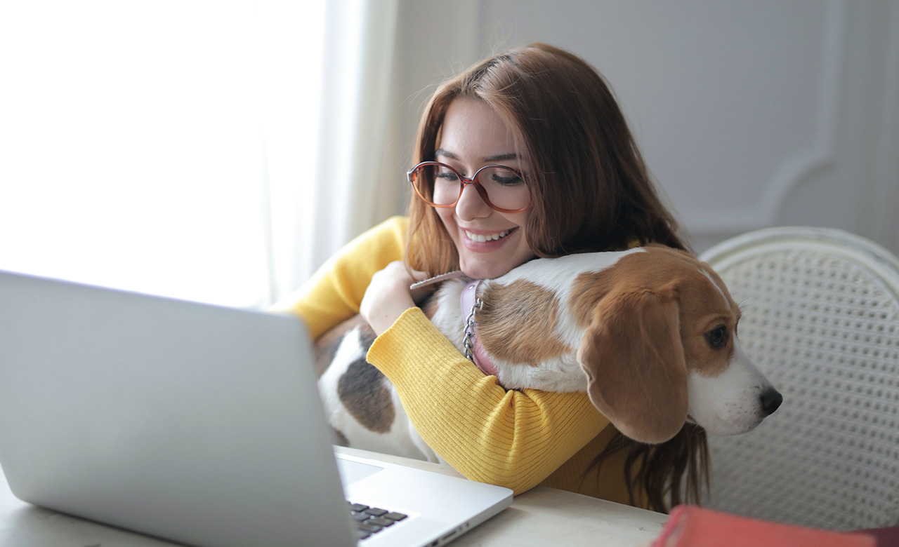 You have developed a fantastic e-learning and the first students have joined. Can you sit back now? No, not exactly. Use feedback and evaluations to improve your e-learning!