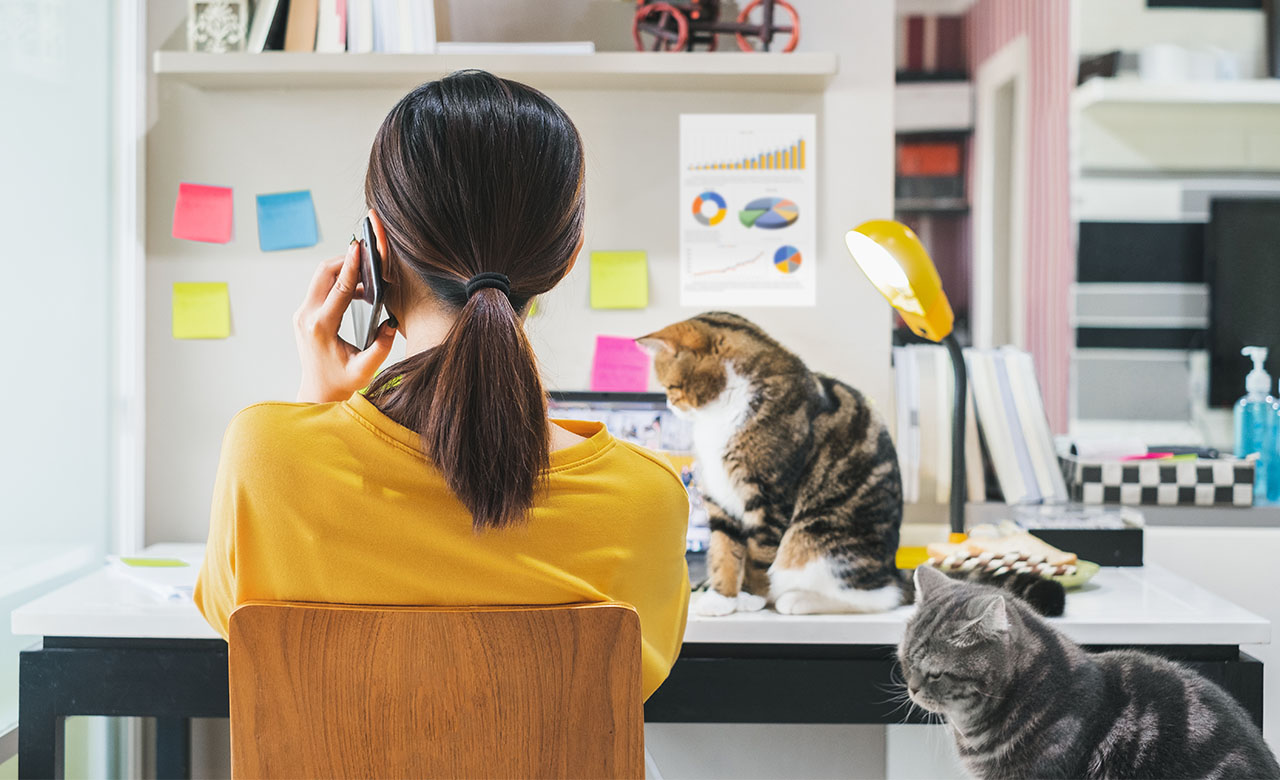 Just imagine. Working when you are most productive, with 100% focus and where you feel most comfortable. Welcome to the world of asynchronous working!