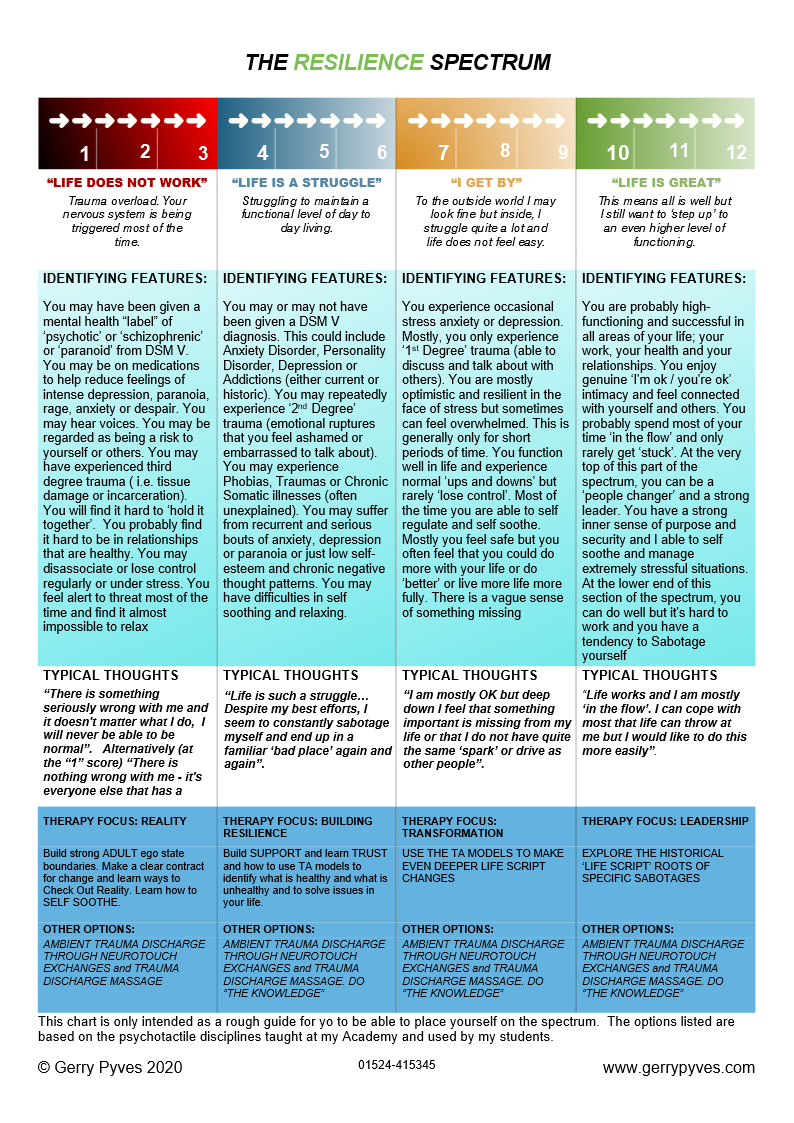 The Resilience Scale.