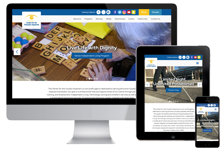 Screenshot of CVI Website Design