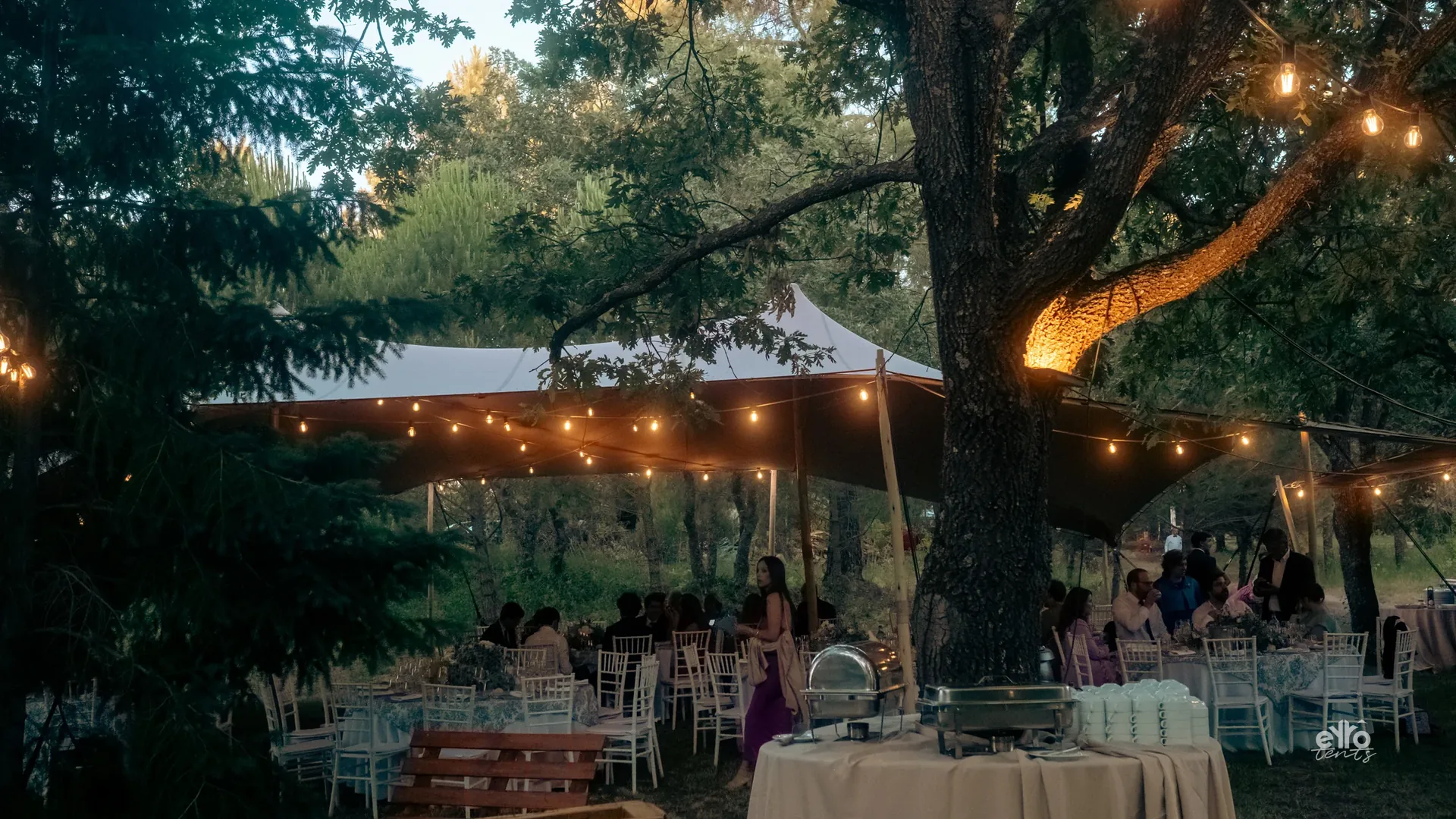 Festoon lights over an outdoor dinner