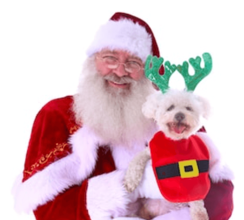 Santa holding a dog
