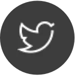 Share with Twitter