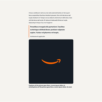 Article image and quote component featured within the UI of articles