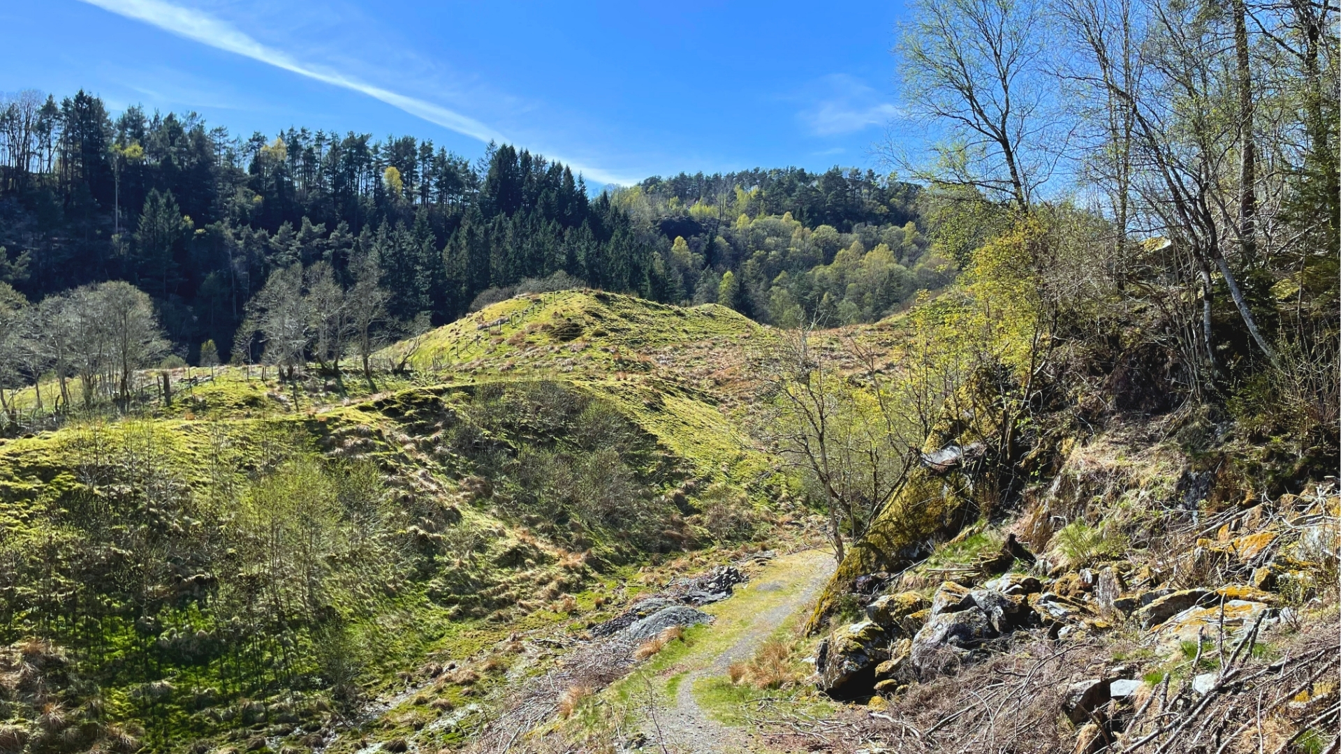 Stegåsen