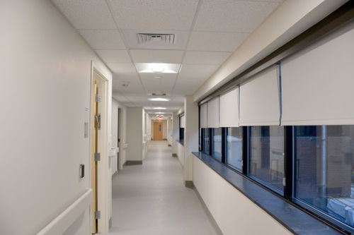 Healthcare / Life Sciences