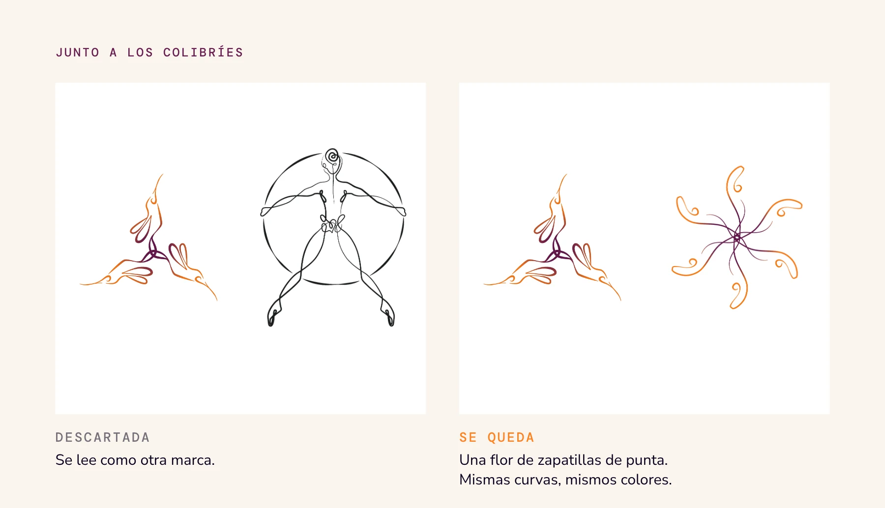 Dos paneles: el logo de colibríes junto a la bailarina descartada que sostiene el mundo, y junto a la flor de zapatillas de punta que se quedó, en los colores de la familia.