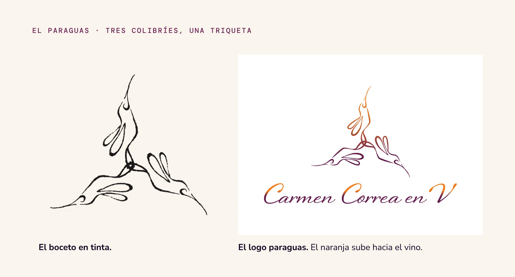 Un boceto en tinta de tres colibríes unidos en una triqueta, junto al logo final de Carmen Correa en V en degradado de naranja a vino.