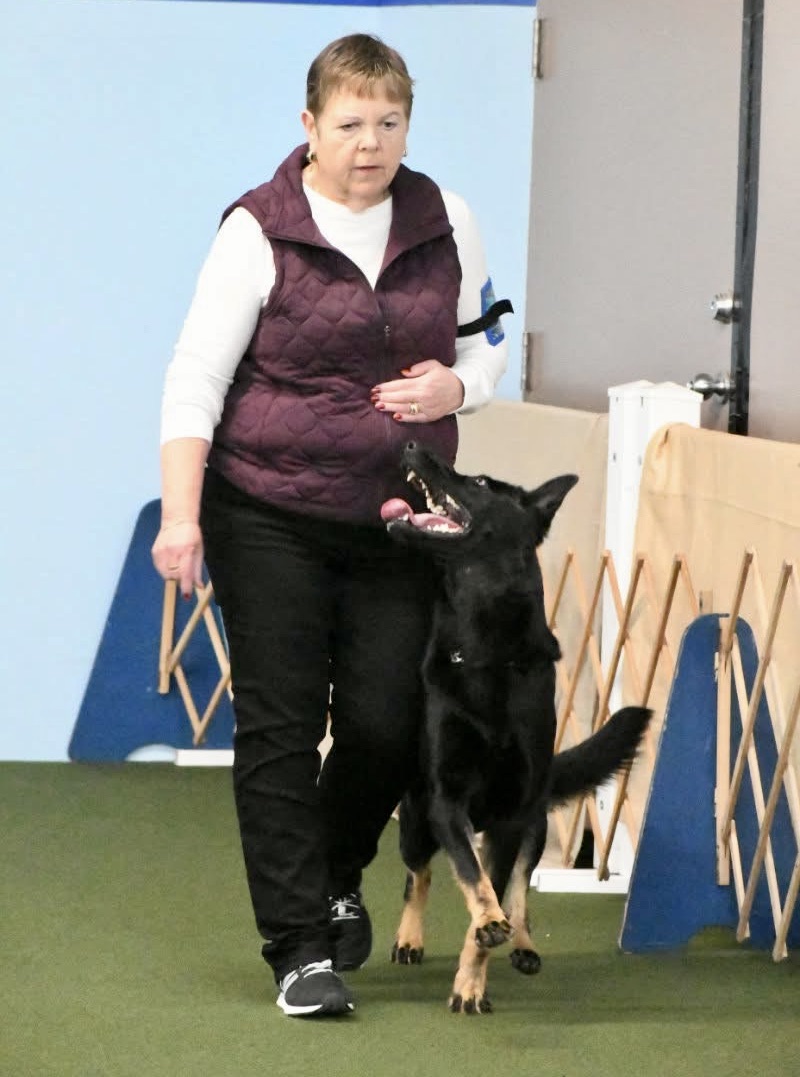 AKC CD (Companion Dog)