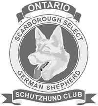 SSGSSC