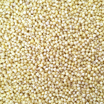 Couscous Suitable for this custom medical dog food recipe 