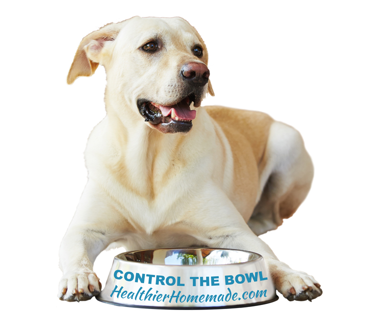 Dog with paws around bowl which reads "Control the Bowl - HealthierHomemade.com"