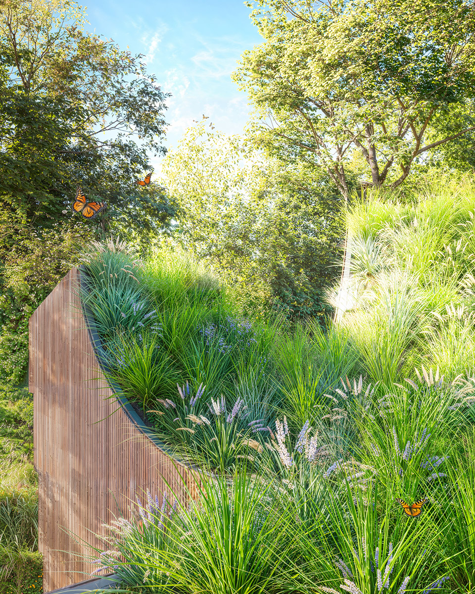 Living roof rendering with native grasses supporting ecology at the Gropius House Bathroom.