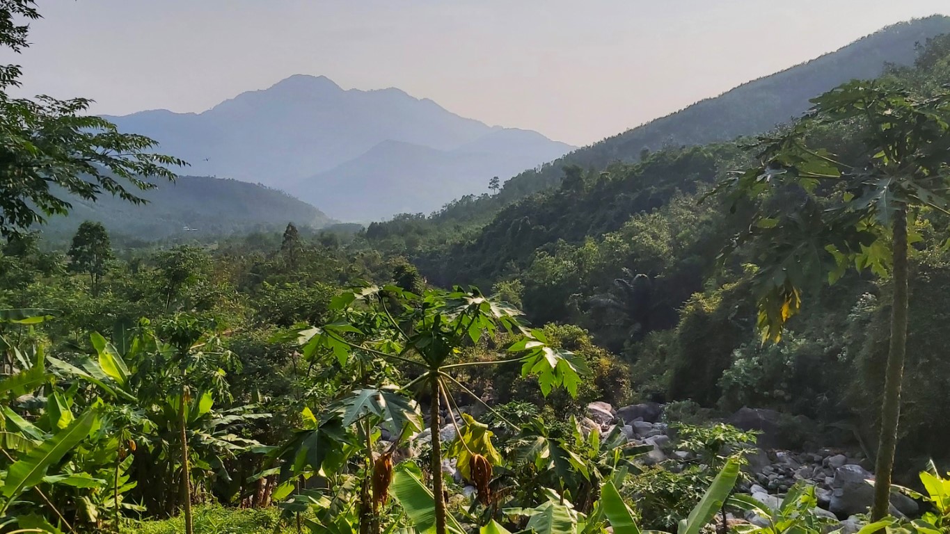 The lush jungle landscape approaching golden hour in the hills of Da Nang