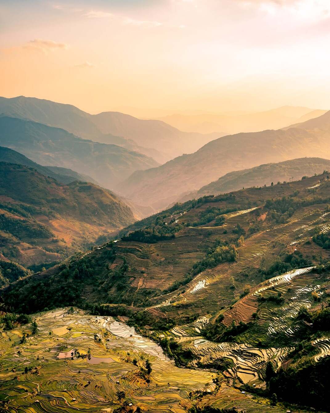 A view of Chinese countryside with mountains and rice fields at sunset