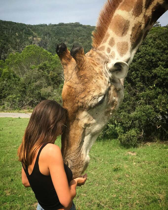 A female travel vet hugging a giraffe's face