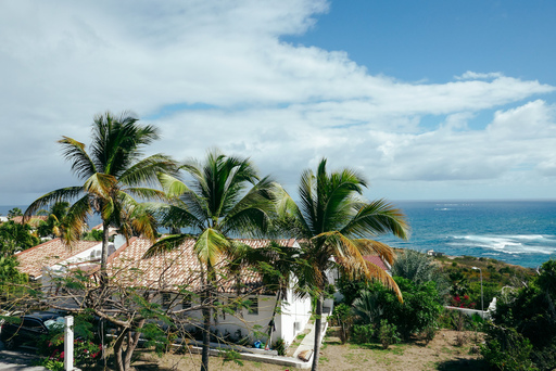 View of a typical house with palm trees and the ocean in the horizon in St. Maarten