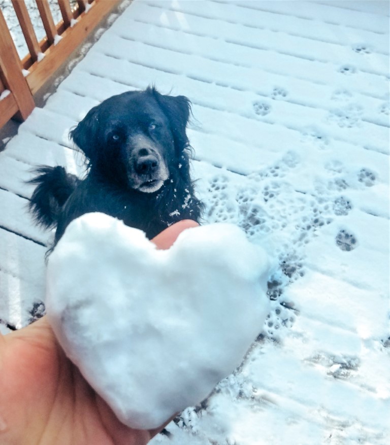 A black dog sitting in the snow with a woman holding a heart-shaped snow ball