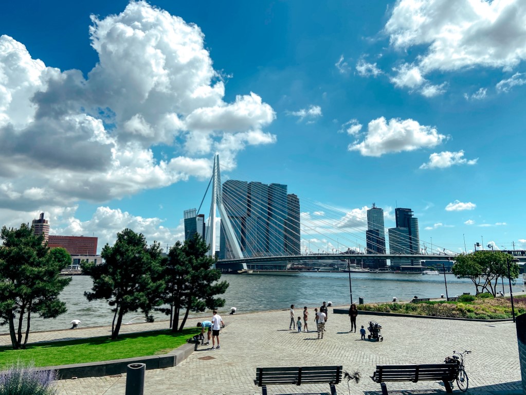 A beautiful, sunny day in Rotterdam, Netherlands with people walking along the river and office buildings in the background