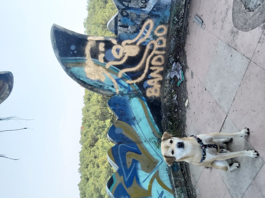 A dog posing in front of graffiti inspired by him at the abandoned waterpark in Hue, Vietnam