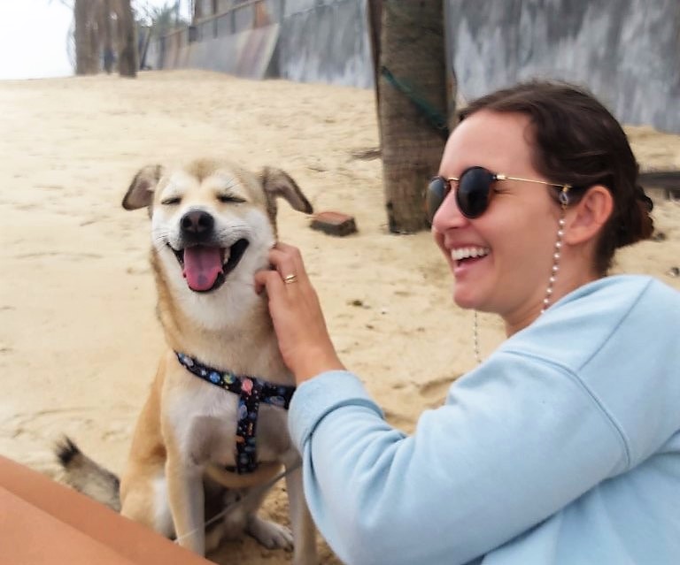 A happy dog getting scratched at the beach