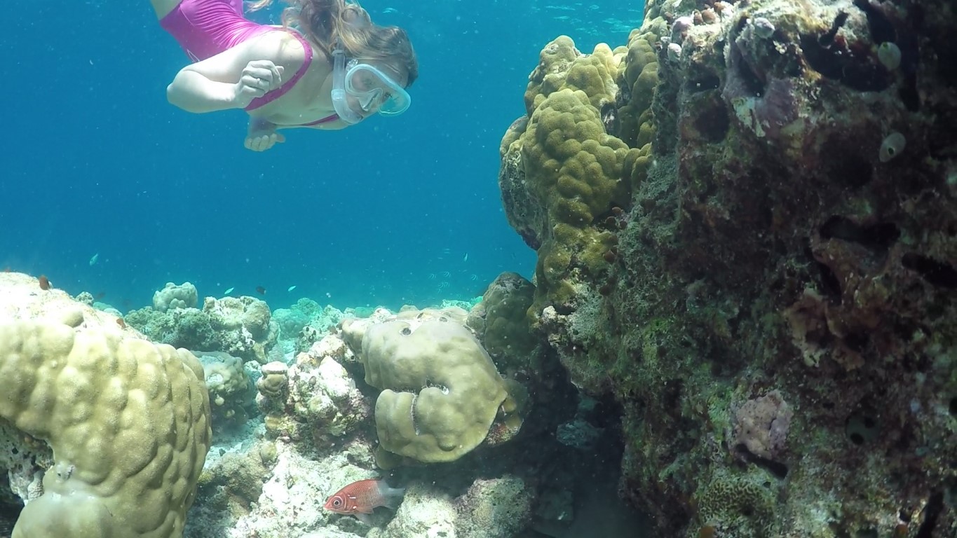 a woman in a hot pink swimsuit snorkeling in the Maldives.