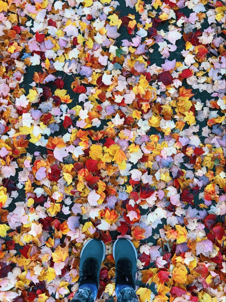 overhead view of tennis shoes standing on red and yellow leaves in fall in Seattle