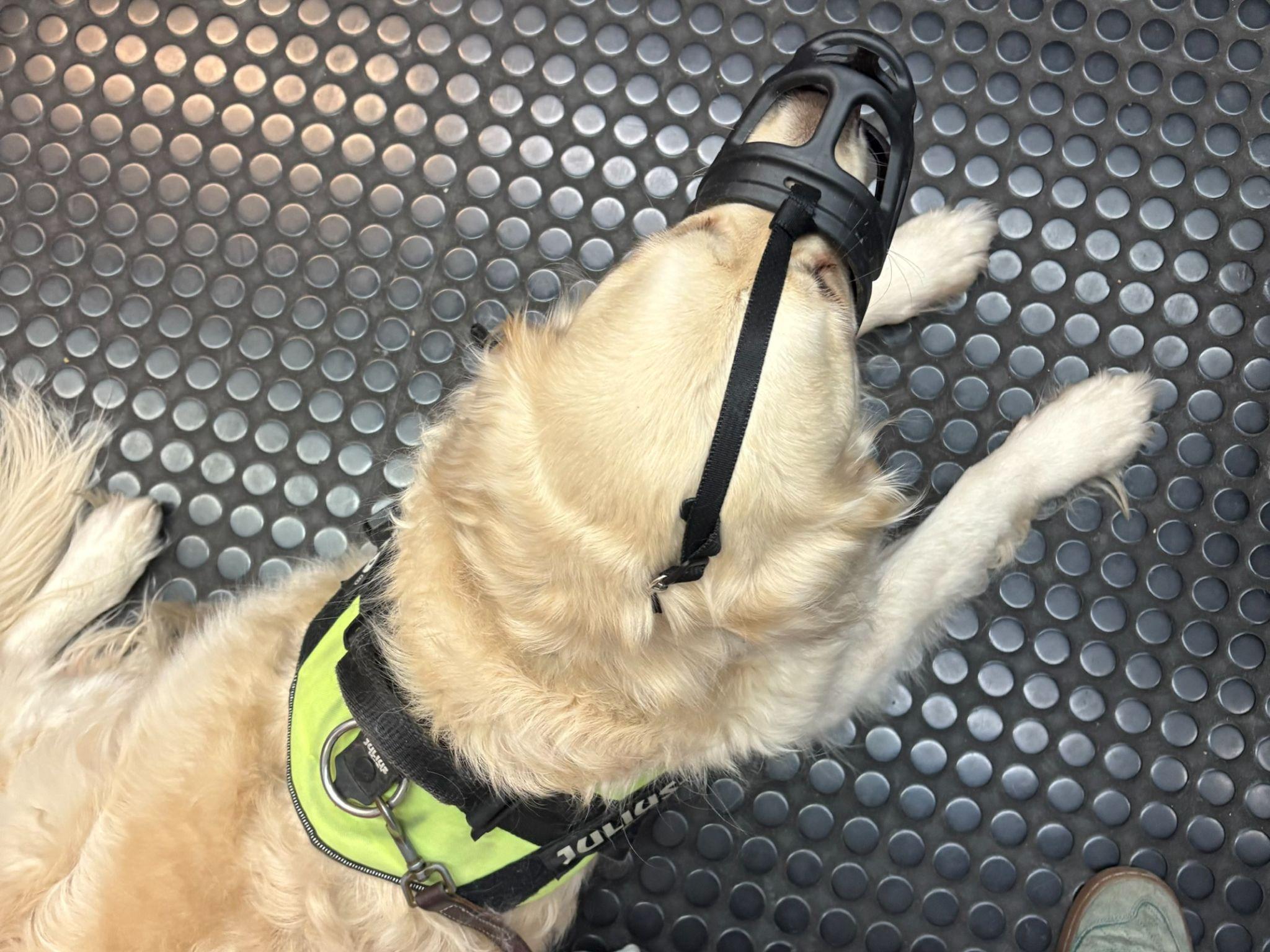 Charlie riding the metro in Madrid
