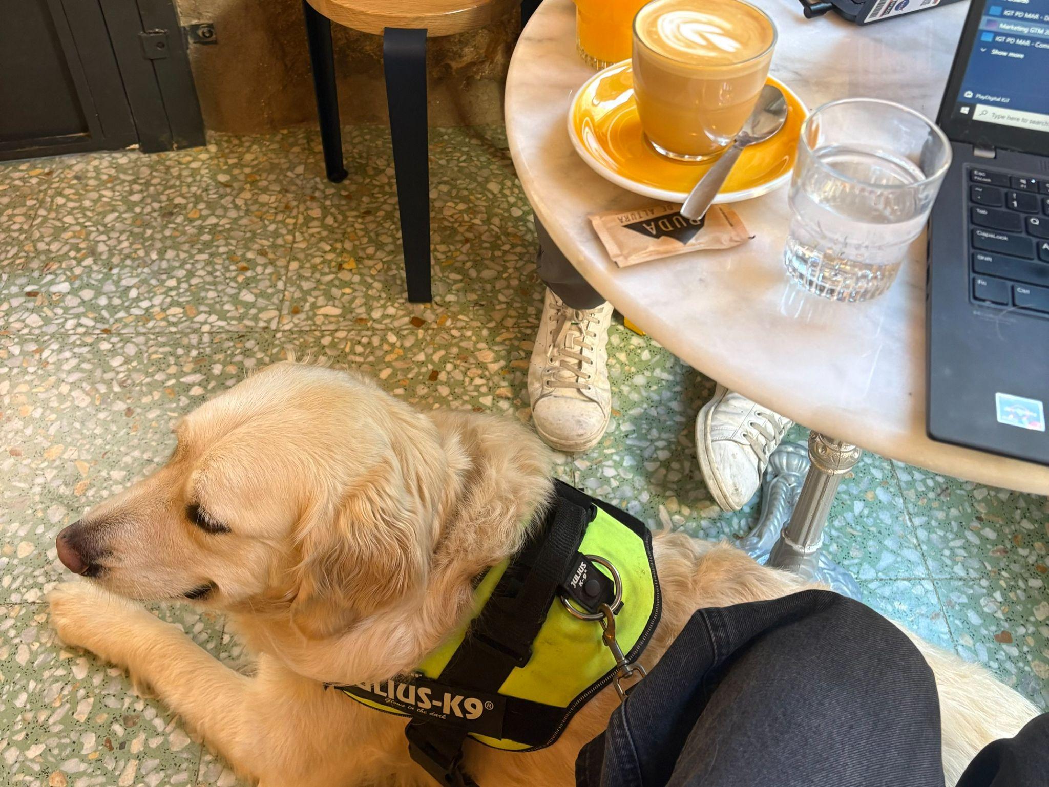 Charlie hanging out at his favorite coffee shop