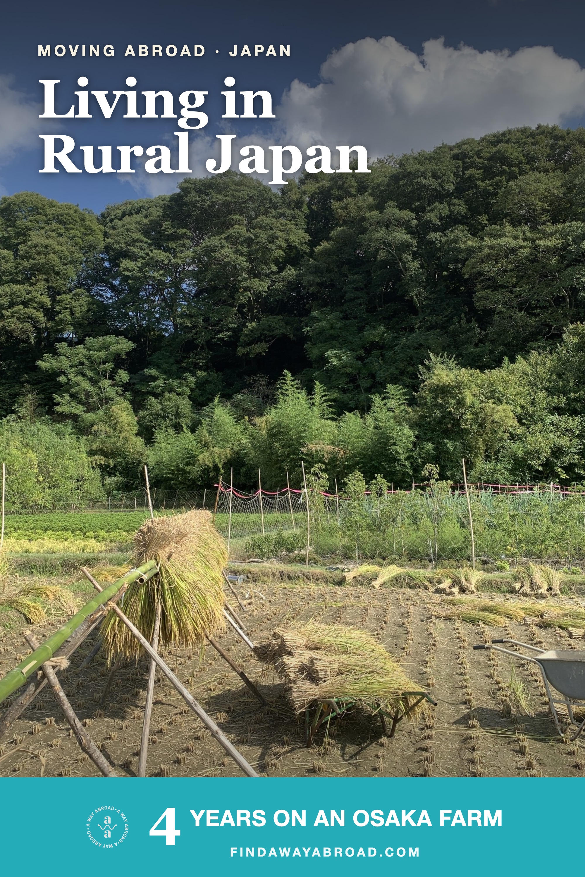 Living in Rural Japan: 4 years on an Osaka farm