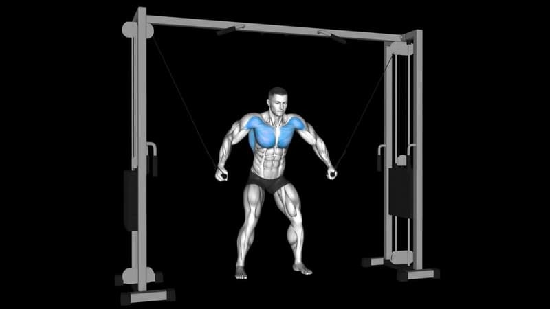 Chest Fly Machine – How To Video, Alternatives & More