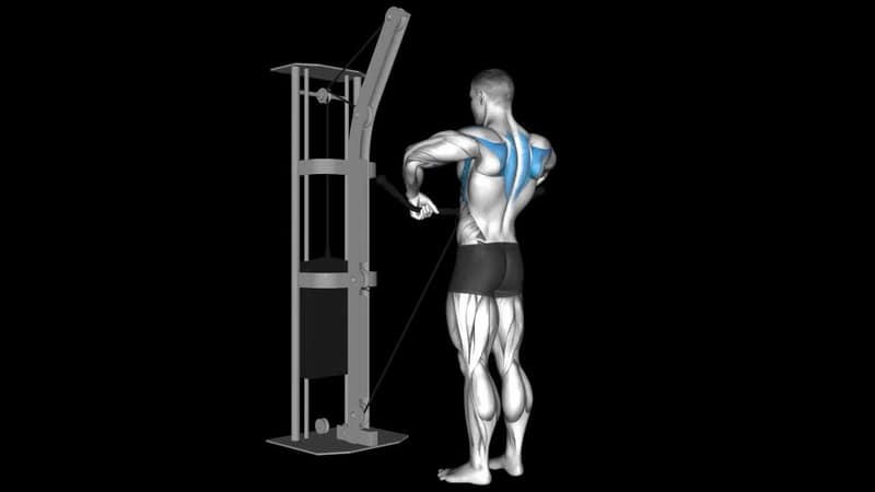 Cable Lateral Raise – How To Video, Alternatives & More