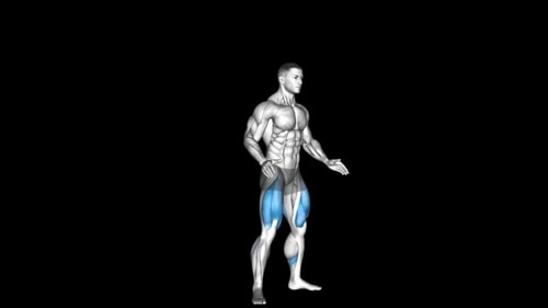 Squat – How To Video, Alternatives & More