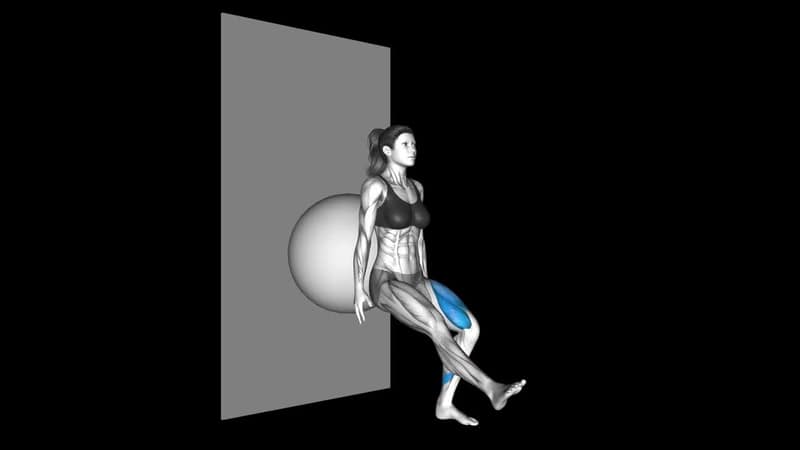 Bodyweight Squat – How To Video, Alternatives & More