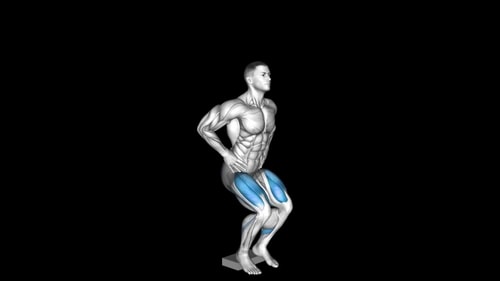 Single Leg Box Squat – How To Video, Alternatives & More