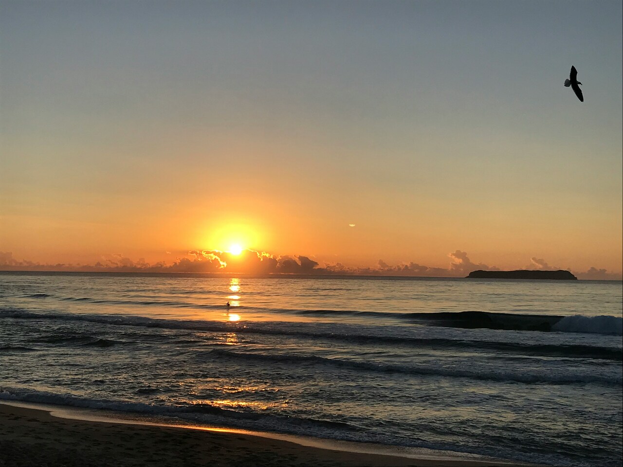 Sunrise over the ocean with an island in the distance and a bird flying above calm waves.