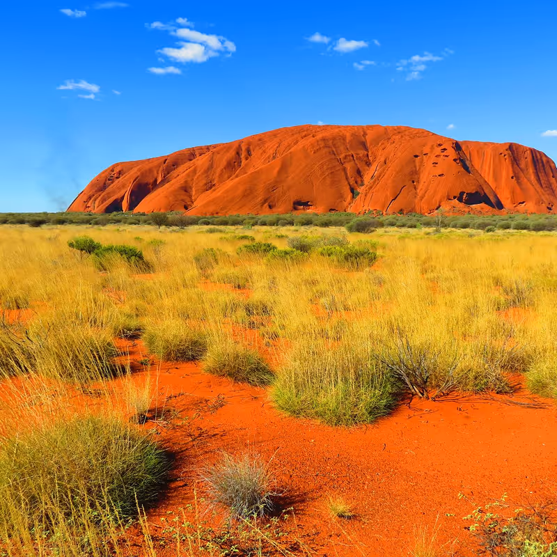 Uluru rock formation with red soil and dry grass under a clear blue sky.