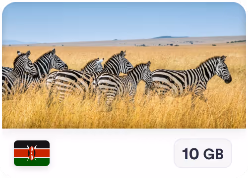 eSIM card showing herd of zebras standing in tall golden grass under a clear blue sky with Kenyan flag icon and 10 GB data label