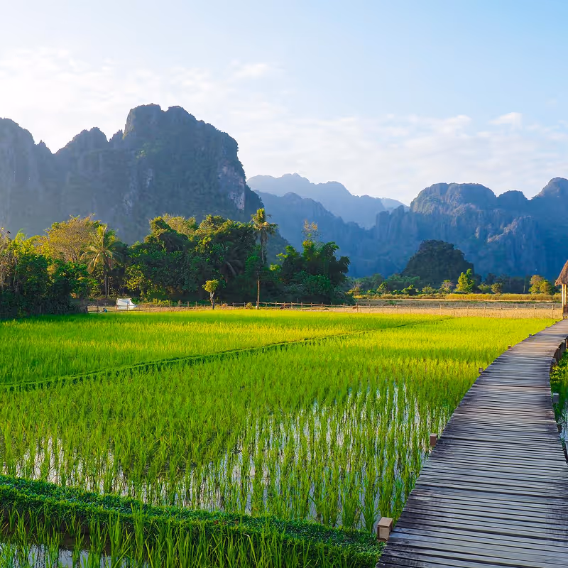 Wooden pathway alongside bright green rice paddies with forest and tall limestone mountains in the background under a partly cloudy sky.