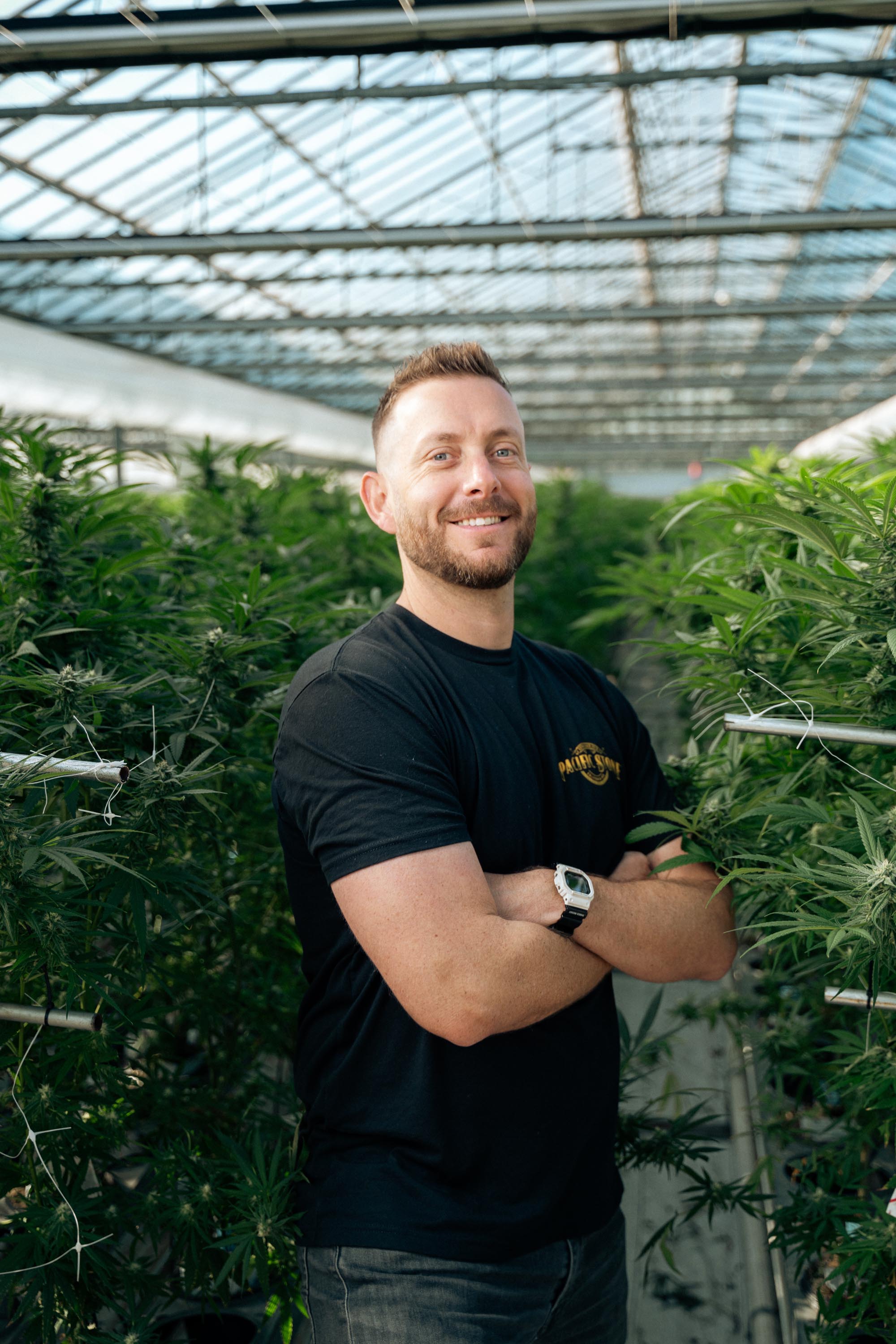 An individual product card on the Nabis Marketplace