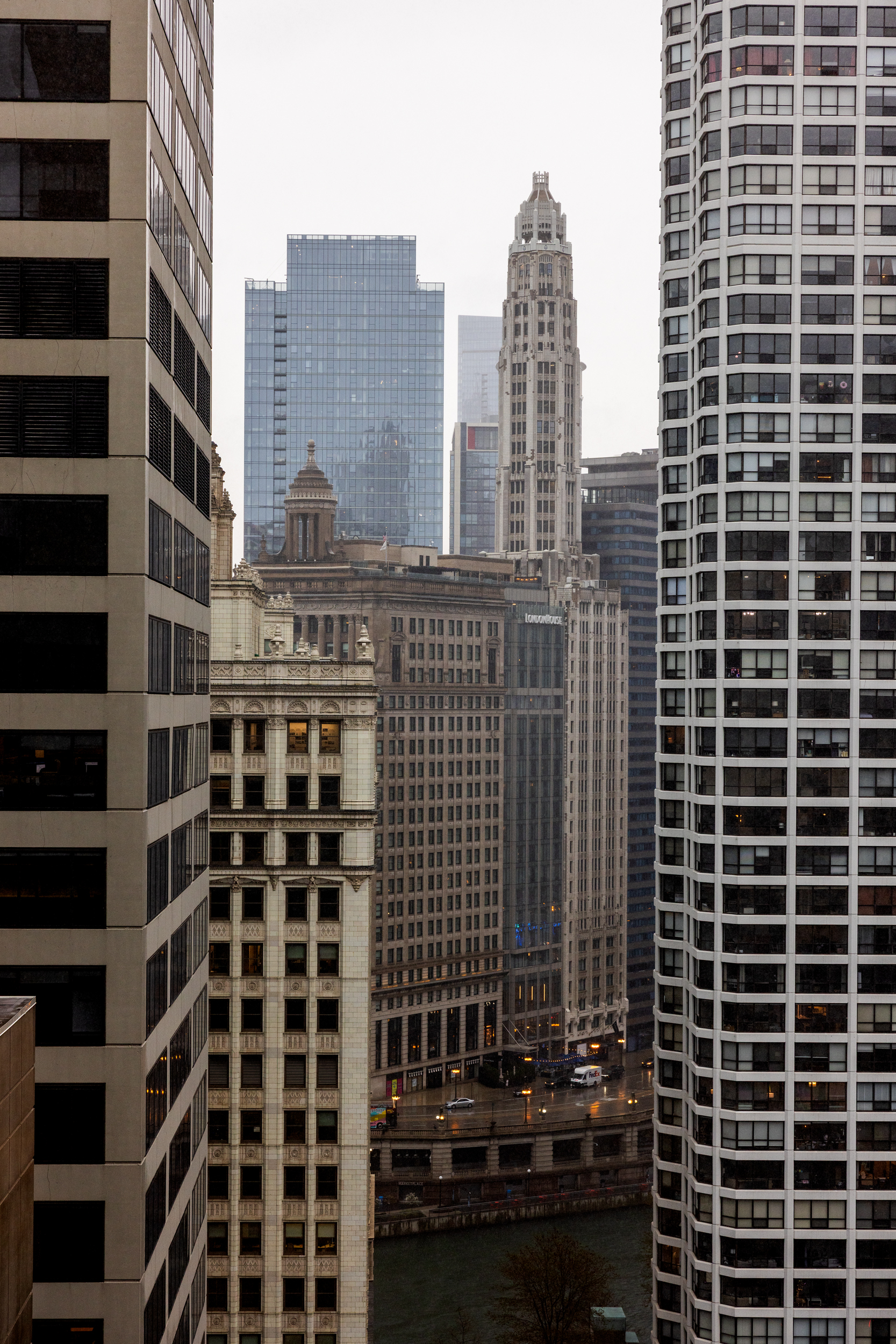 City Hall Elopement - Downtown Chicago & Grant Park