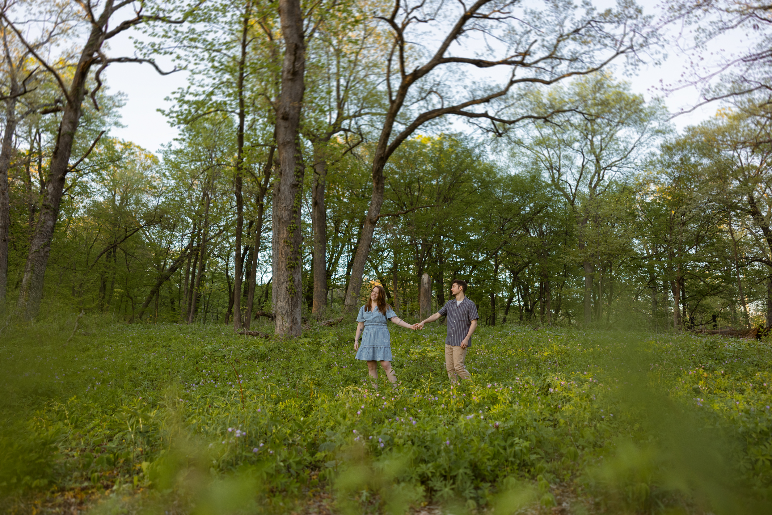 Engagement - Forest in the Suburbs