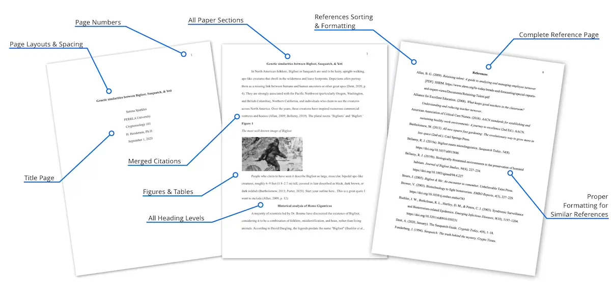 An image of an APA 7 paper with each of the elements highlighted and displayed.
