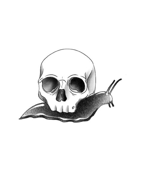Christina Skull Snail