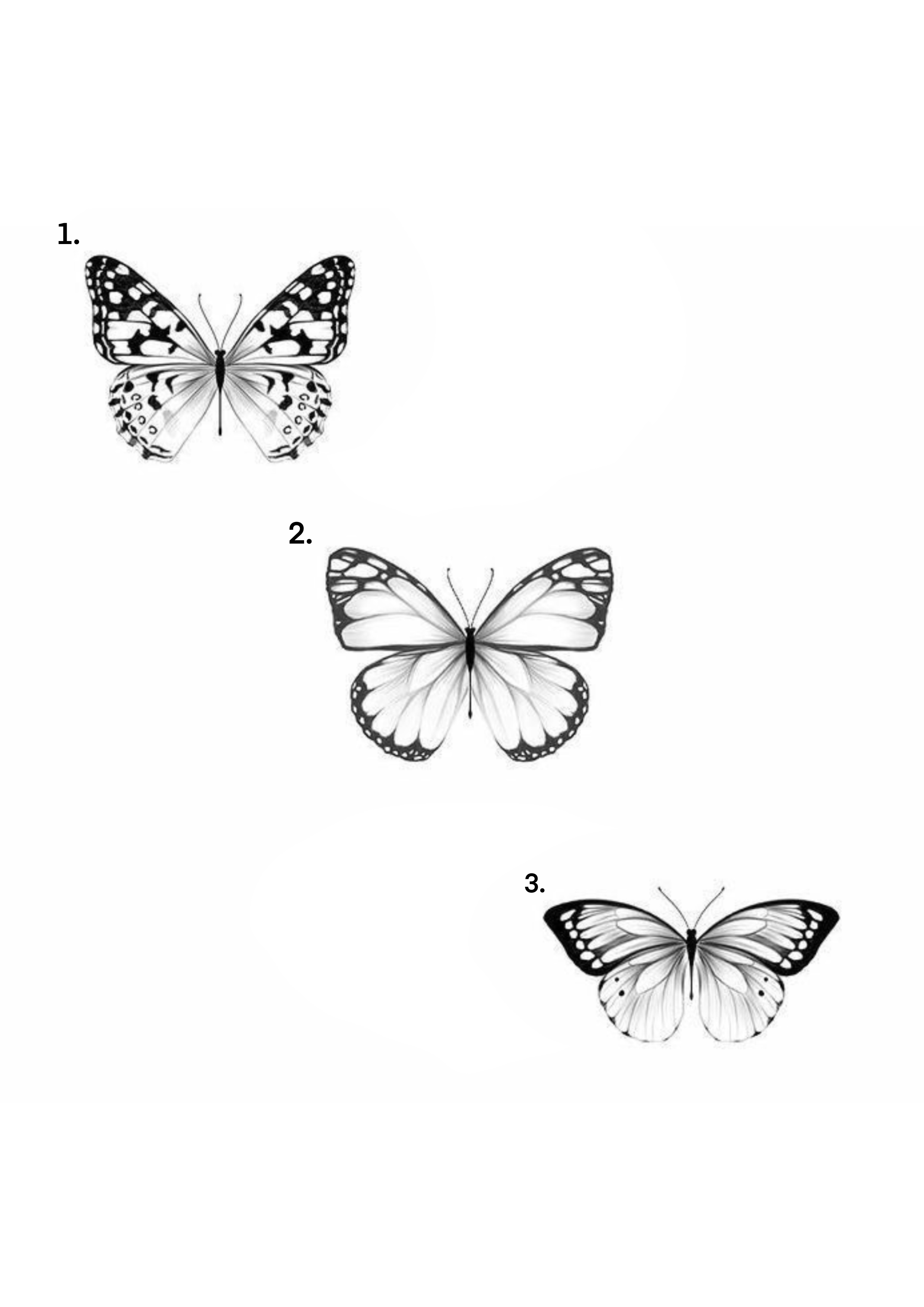 Tarik Butterfly Tattoo