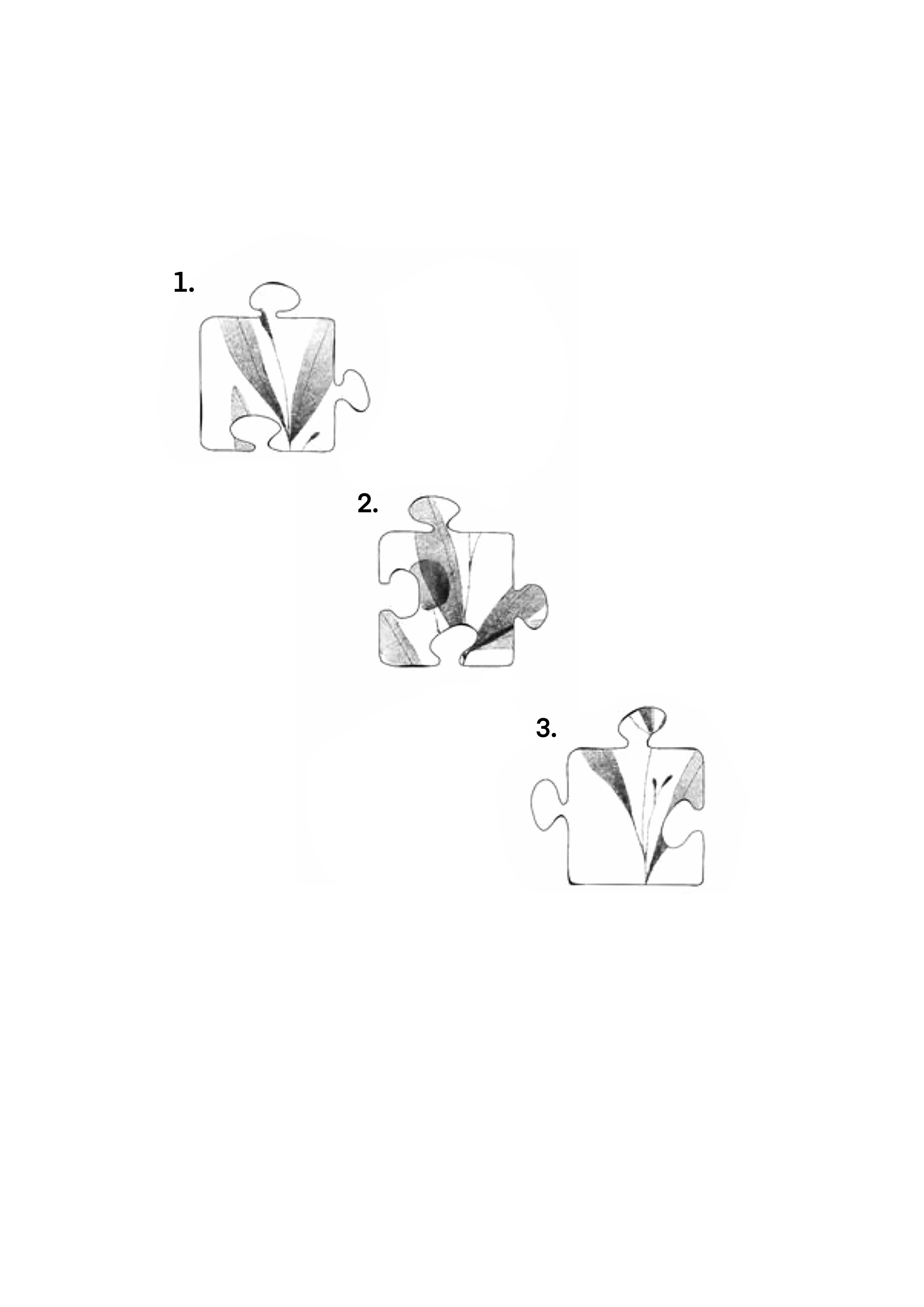 Tarik Flower Puzzle