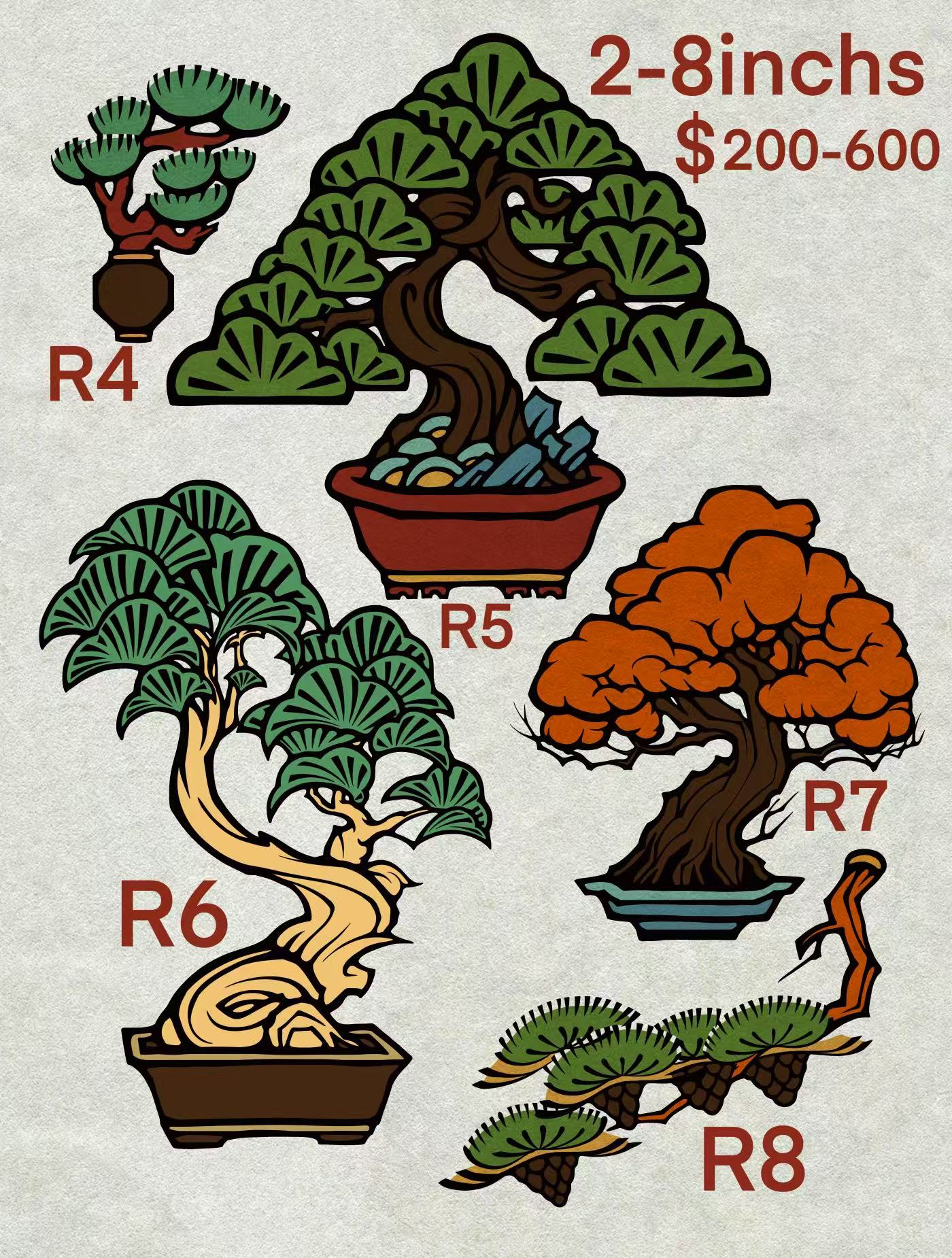 Chiu Ray Bonsai