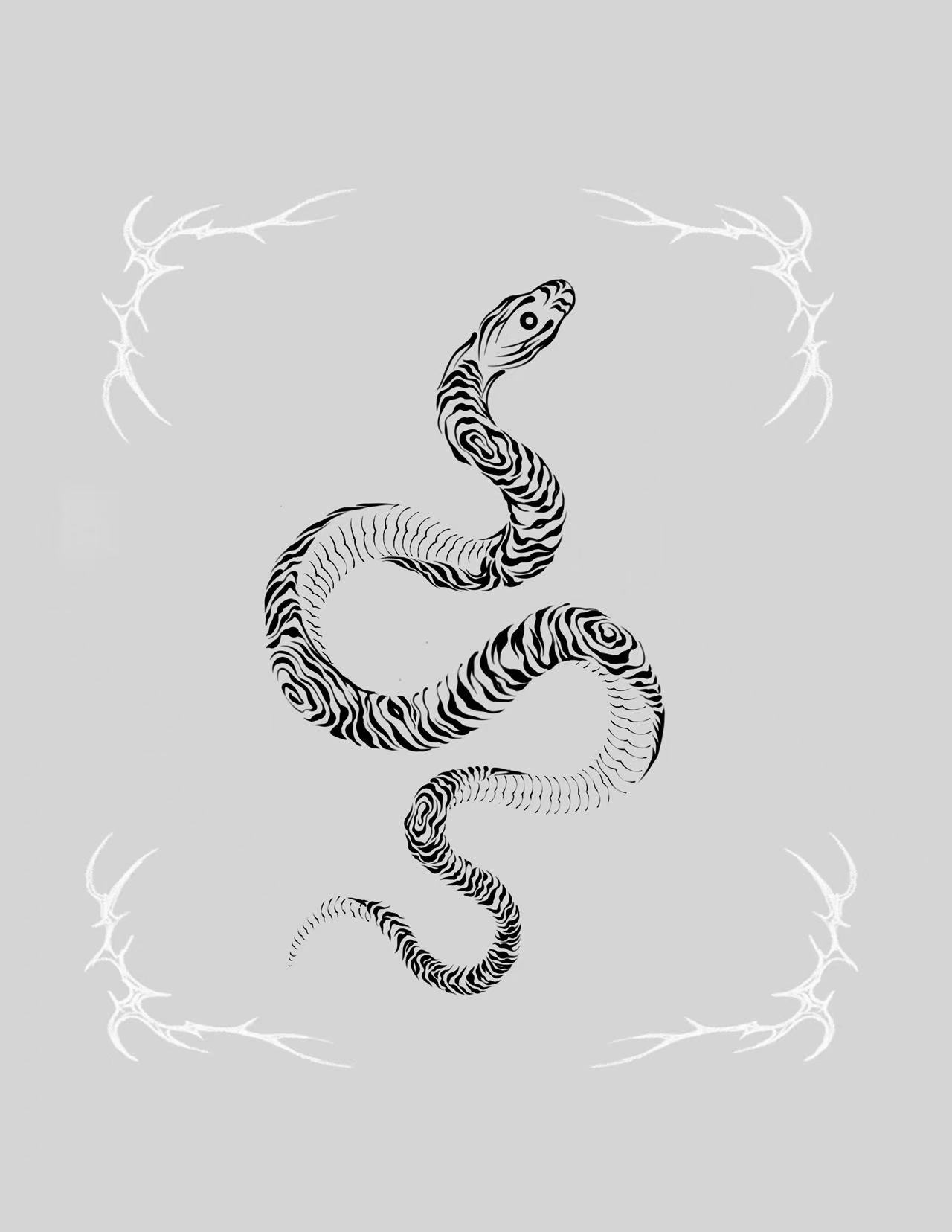 Daey Z-Snake