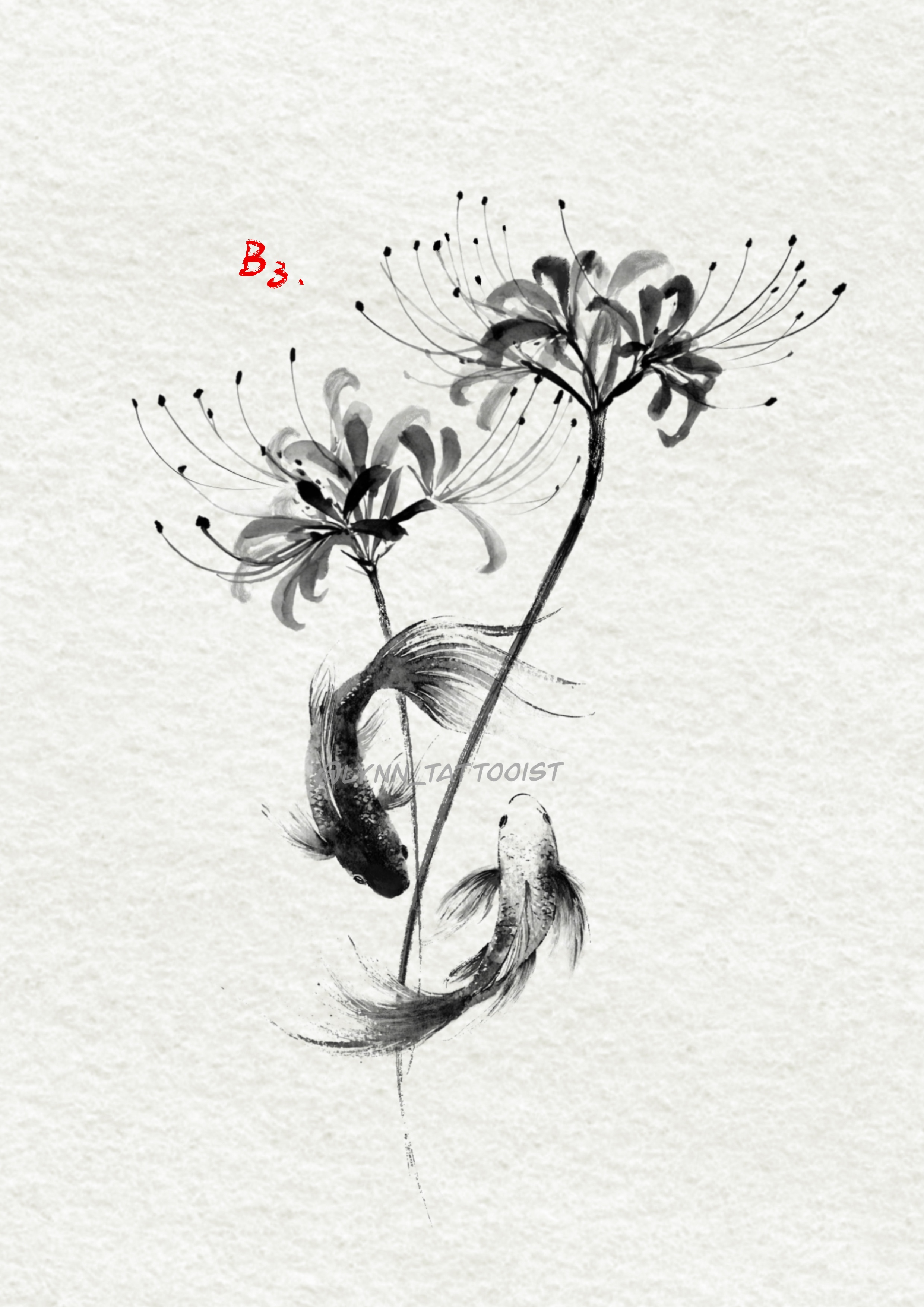 Lynn B3